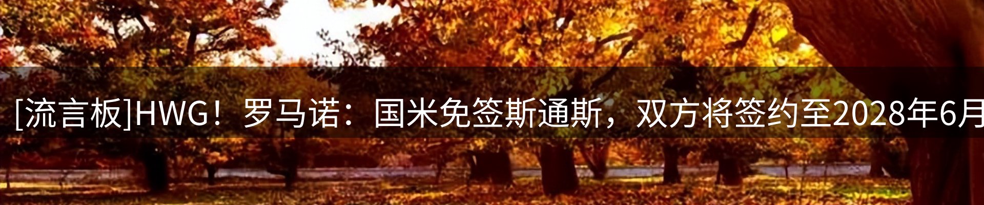 赛事资讯